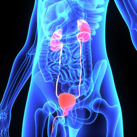 Urologie in der Eilenriede Klinik Hannover